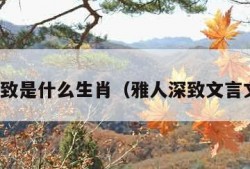 雅人深致是什么生肖（雅人深致文言文翻译）