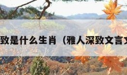 雅人深致是什么生肖（雅人深致文言文翻译）