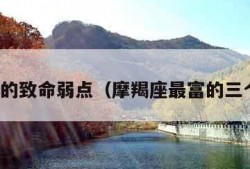 摩羯座的致命弱点（摩羯座最富的三个属相）