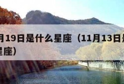 11月19日是什么星座（11月13日是什么星座）