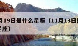 11月19日是什么星座（11月13日是什么星座）