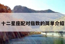 十二星座配对指数的简单介绍