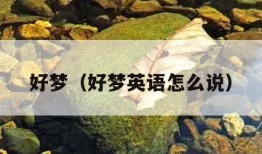 好梦（好梦英语怎么说）