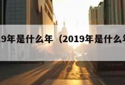 2019年是什么年（2019年是什么年份）