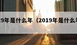 2019年是什么年（2019年是什么年份）