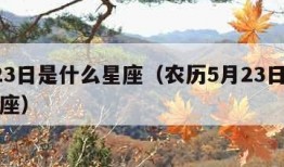 5月23日是什么星座（农历5月23日是什么星座）
