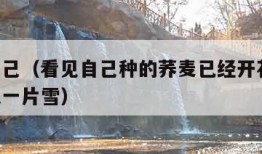 看见自己（看见自己种的荞麦已经开花,白霎霎的像一片雪）