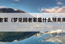 梦见回老家（梦见回老家是什么预兆周公解梦）