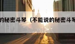 不能说的秘密斗琴（不能说的秘密斗琴钢琴谱）