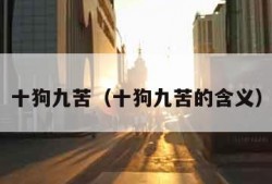 十狗九苦（十狗九苦的含义）